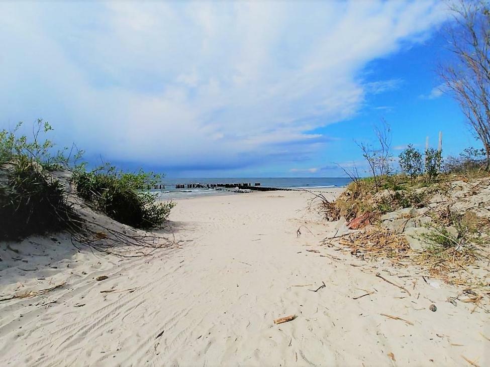 Marine Gardenia Seaside Apartment Dziwnow Bagian luar foto